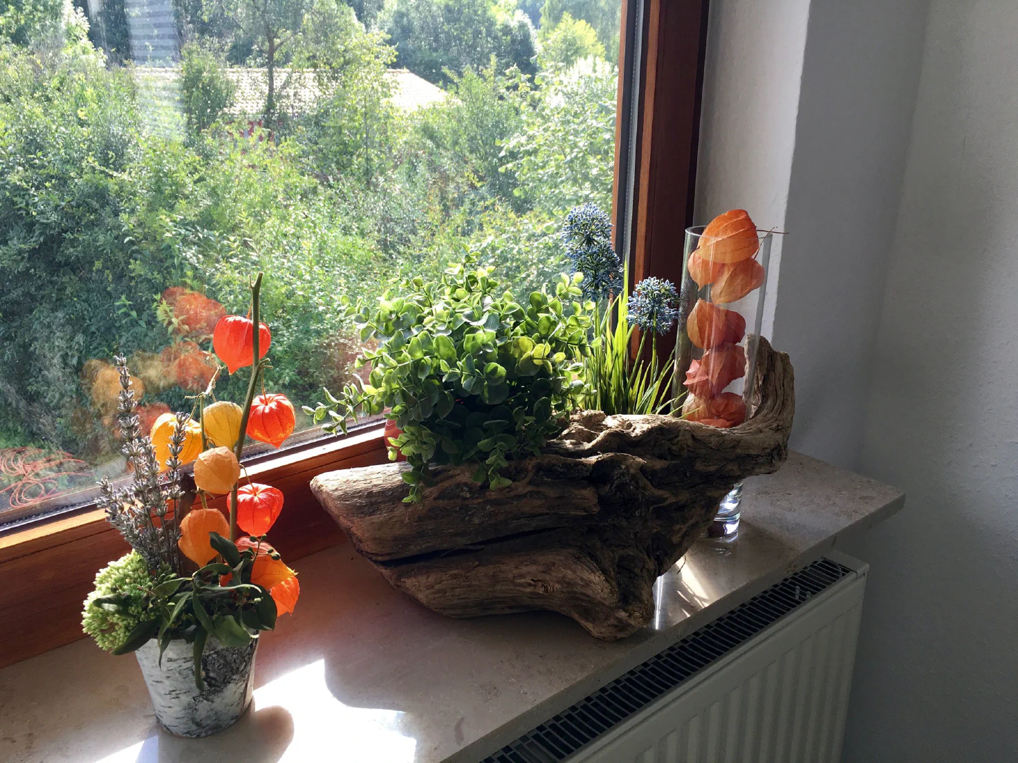 Bilder der Praxis - 05